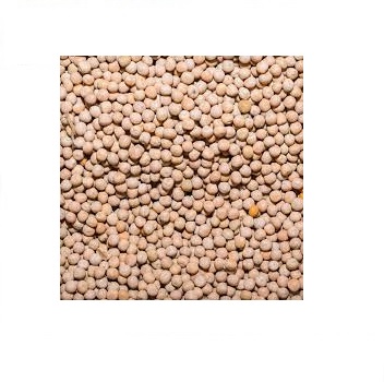 Chicharo, 1 kg.(Recogida por el cliente)